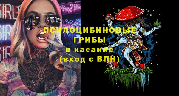 соль ск Аркадак