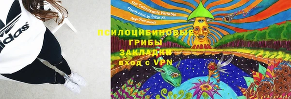 прущий лед Алексеевка