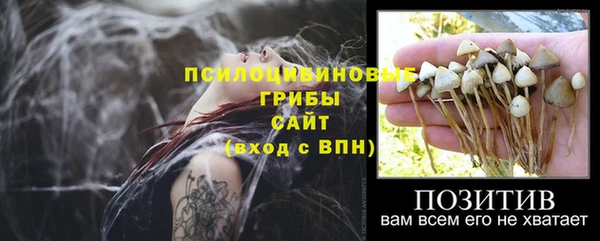 соль ск Аркадак