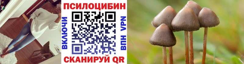 дарнет шоп  Аркадак  Псилоцибиновые грибы Psilocybine cubensis 